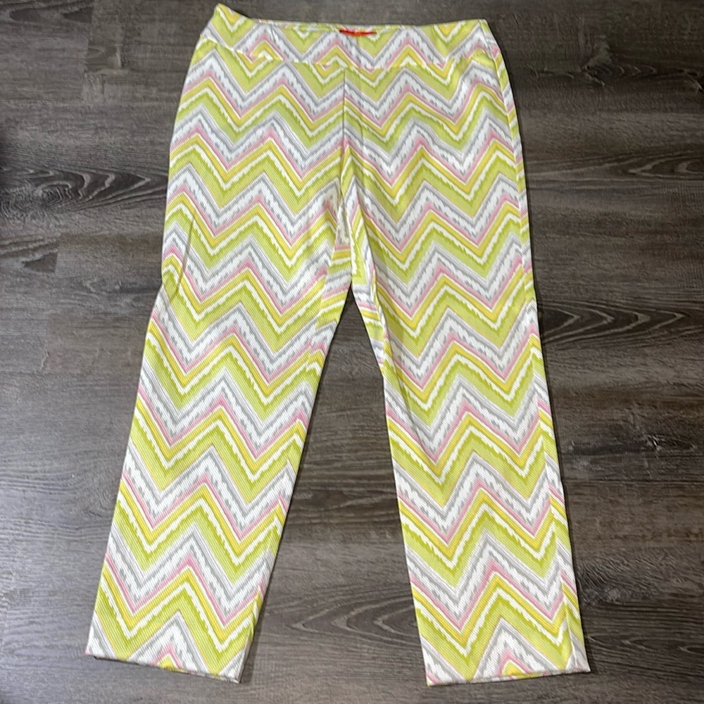 Krazy Larry Women's Pull On‎ Ankle Cotton Spandex Multicolor Pants Size 12